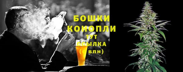 эйфоретик Няндома