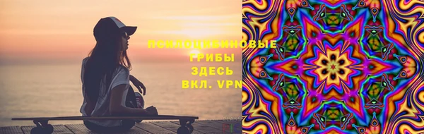 МДПВ Нязепетровск