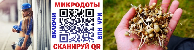 МЕГА ONION  Кудымкар  Галлюциногенные грибы прущие грибы 